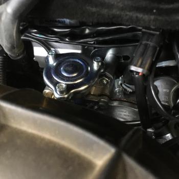 Редуктор Tomasetto Nordic