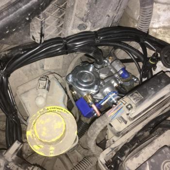 Редуктор Tomasetto Alaska Редуктор Tomasetto Alaska