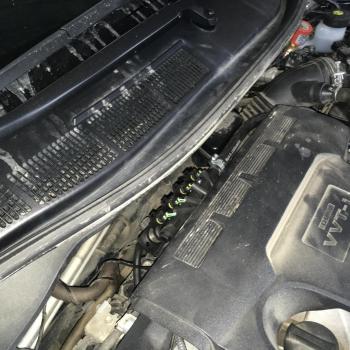 Форсунки  Barracuda 