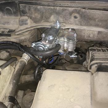 Редуктор Tomasetto Nordic XP 