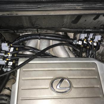 Форсунки Rail IG1